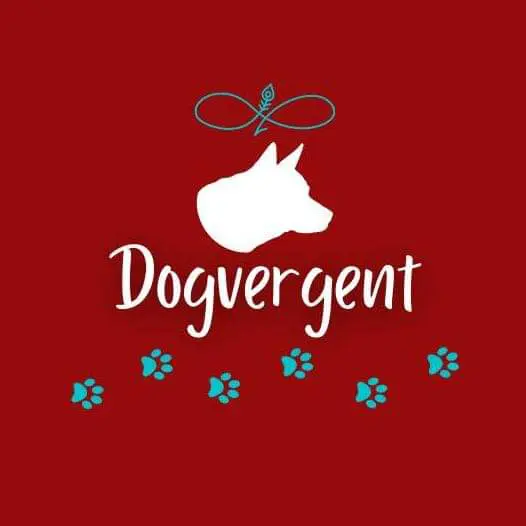 Dogvergent