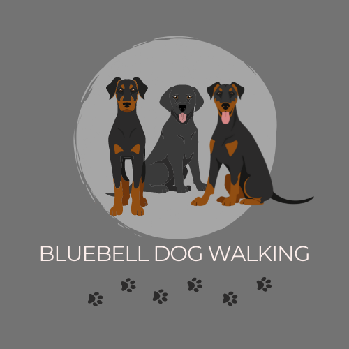 Bluebell Dog Walking