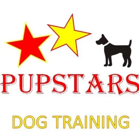 PupStars Dog Training