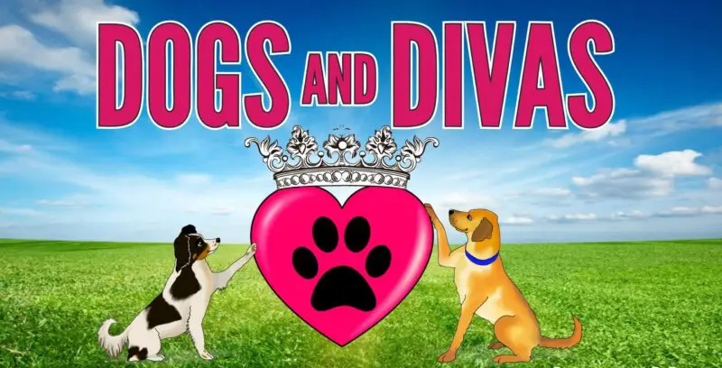 Dogs and Divas