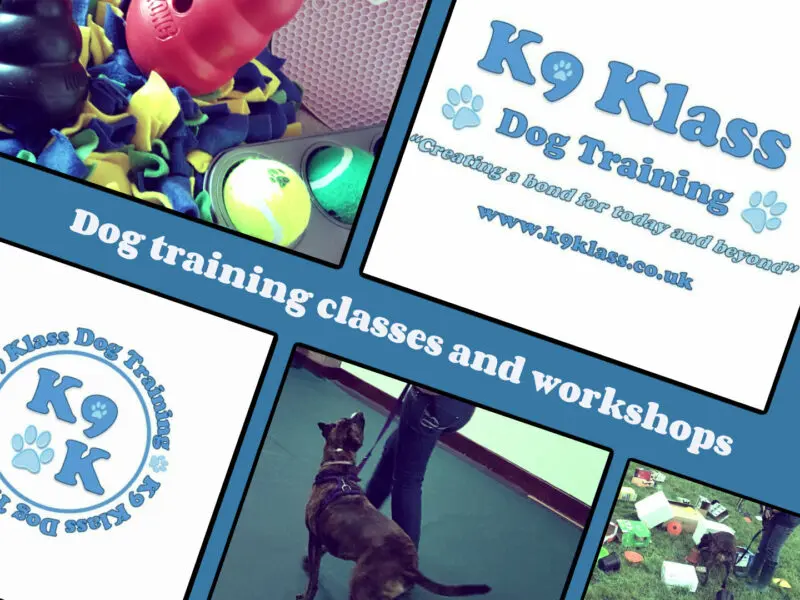 K9 Klass Dog Training