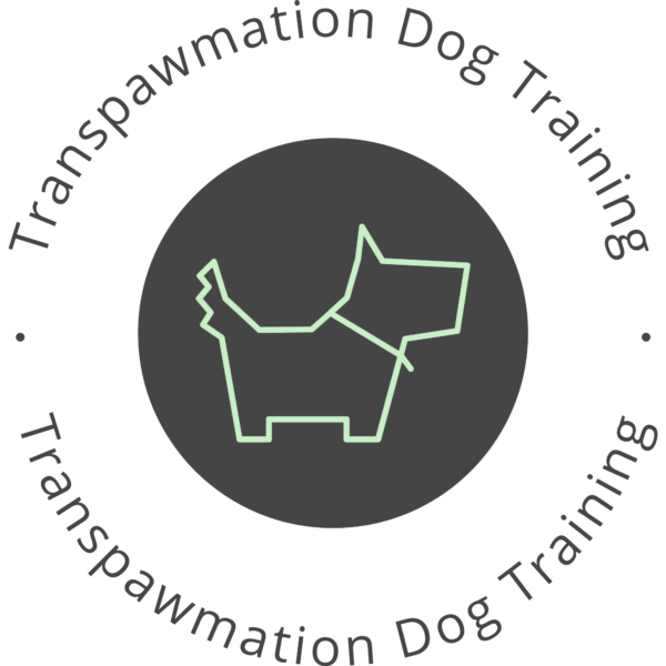 Transpawmation Dog Training