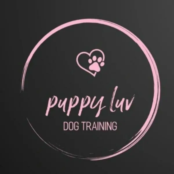 Puppy luv dog training