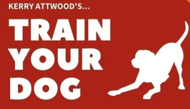 Train your dog- Kerry Attwood