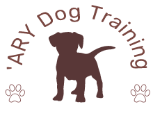 ARY Dog Training