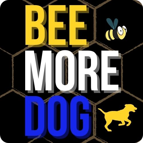 Bee More Dog