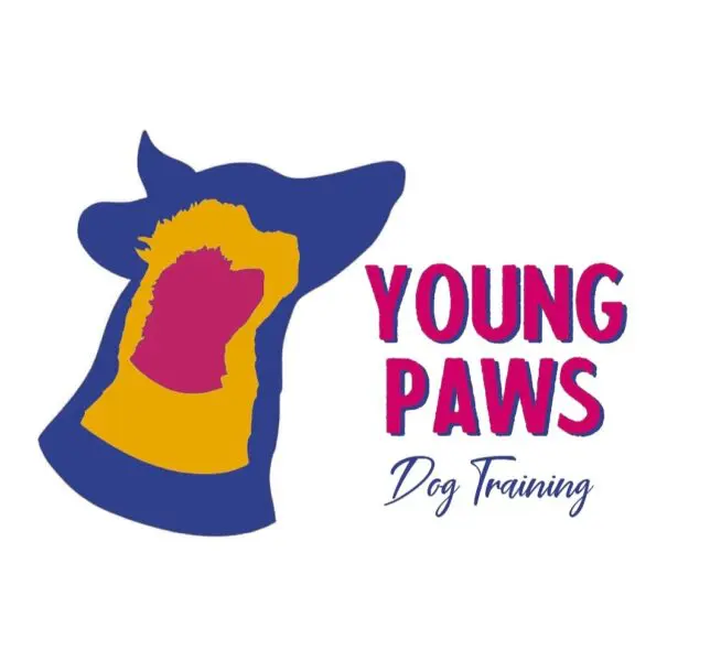 Young Paws Dog Training