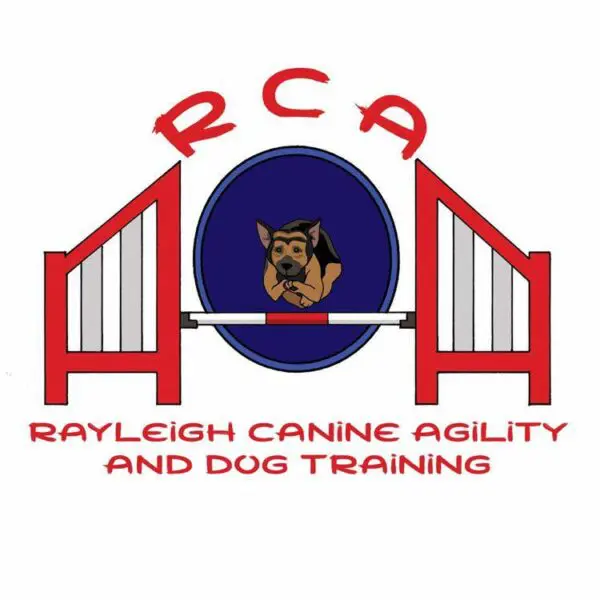 Rayleigh Canine Agility and Dog Training