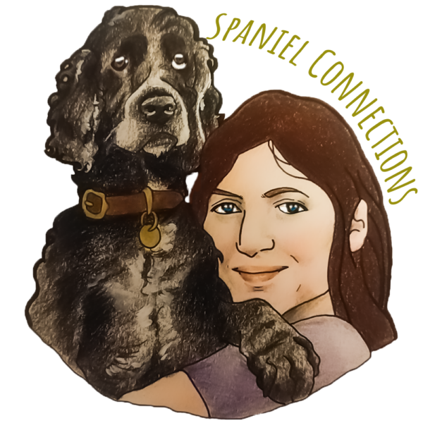 Spaniel Connections