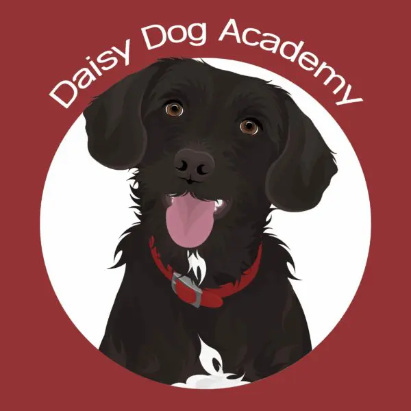 The Daisy Dog Academy