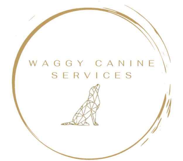 Waggy Canine Services