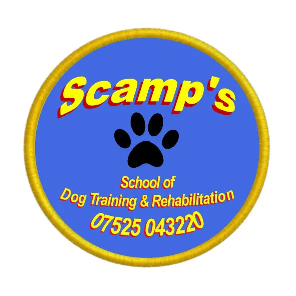 Scamp's School of Dog Training