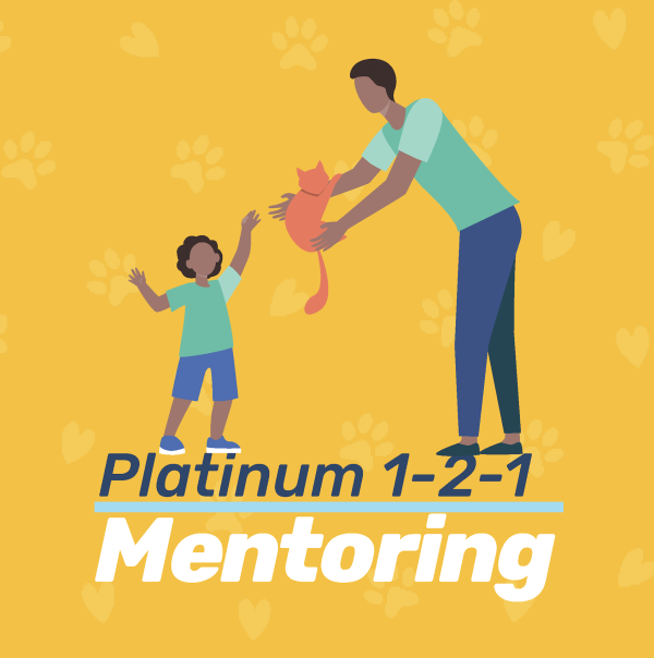 Platinum 1-2-1 Mentoring (Single Payment)