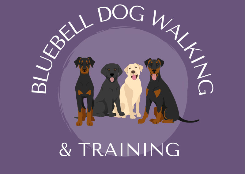 Bluebell Dog Walking and Training