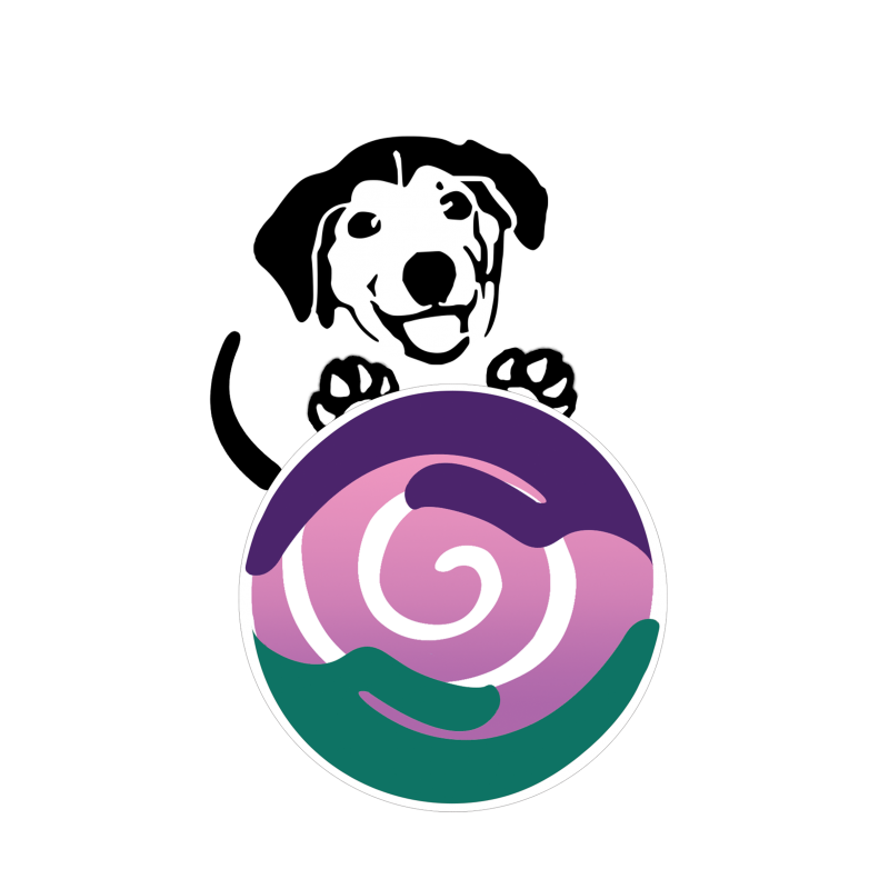 happy smiling dog playing with a pink and white ball held between two healing hands